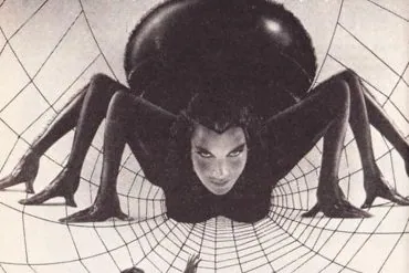 Critique de La Malédiction de la veuve noire 11 Critique de La Malédiction de la veuve noire