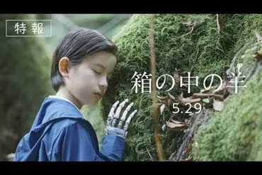 Bande annonce de La Mouton dans la boîte : le retour de Koreeda 2 Bande annonce de La Mouton dans la boîte : le retour de Koreeda