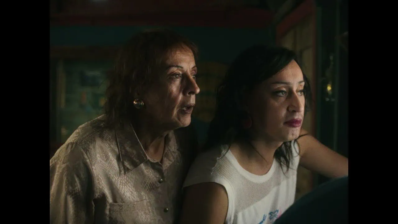 Bande-annonce Le Mystérieux Regard du flamant rose : drame chilien primé à Cannes 3 Bande-annonce Le Mystérieux Regard du flamant rose : drame chilien primé à Cannes