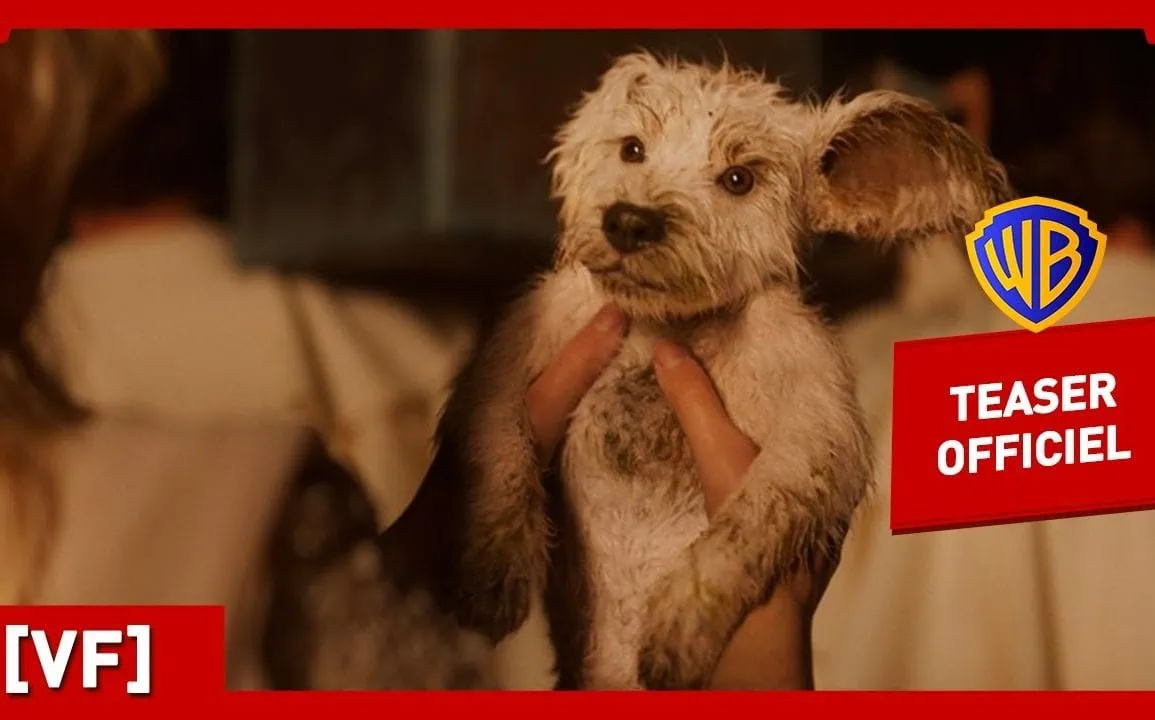 Supergirl teaser Krypto : Milly Alcock et Jason Momoa au cinéma 1 Supergirl teaser Krypto : Milly Alcock et Jason Momoa au cinéma