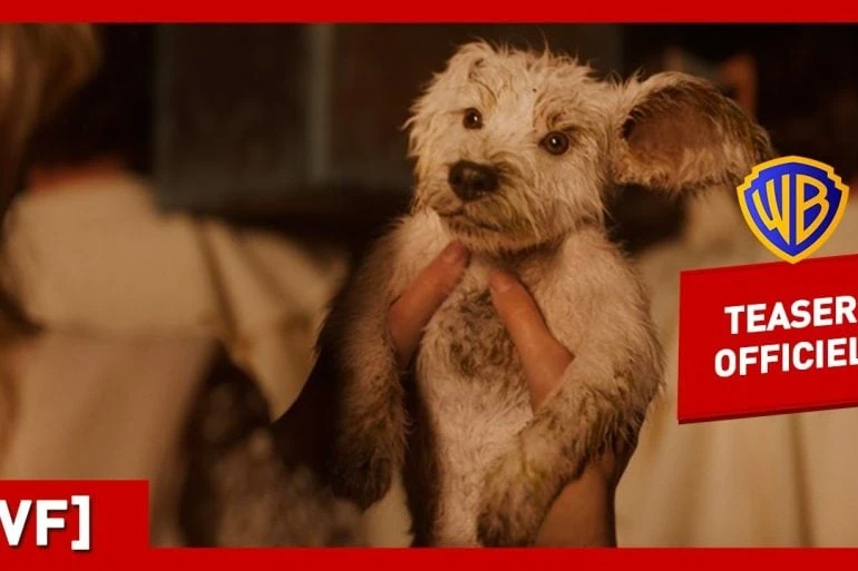 Supergirl teaser Krypto : Milly Alcock et Jason Momoa au cinéma 3 Supergirl teaser Krypto : Milly Alcock et Jason Momoa au cinéma