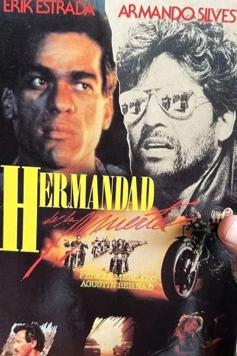 Sorties VOD US de la semaine du 15 février 2026 : 28 ans plus tard : Le Temple des morts et les 15 nouveautés de la semaine 15 The last riders