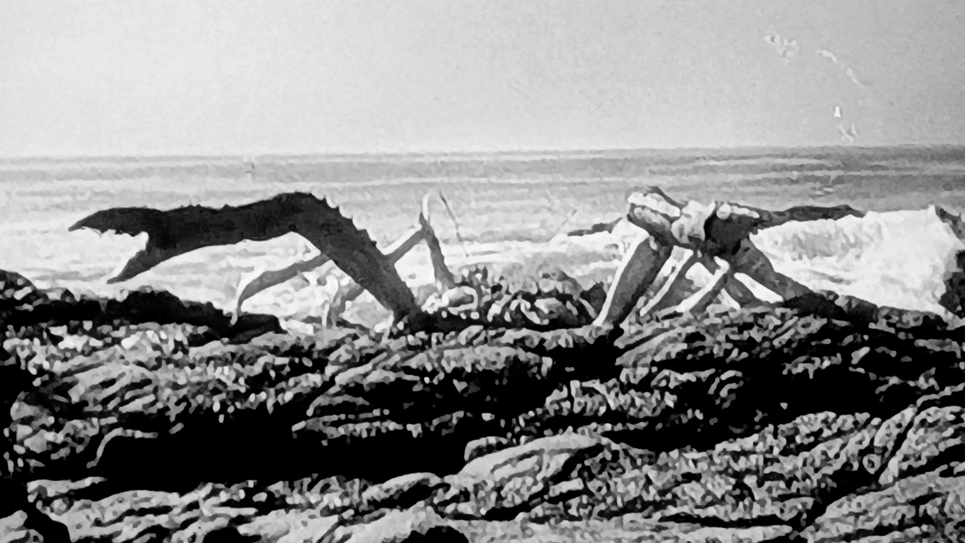 Critique de L'Attaque des crabes géants 2 Critique de L'Attaque des crabes géants