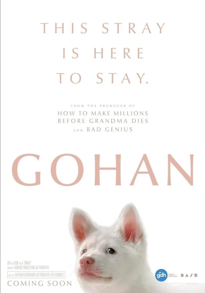 Bande-annonce de Gohan : un drame touchant sur le lien entre humains et animaux 3 Bande-annonce de Gohan : un drame touchant sur le lien entre humains et animaux