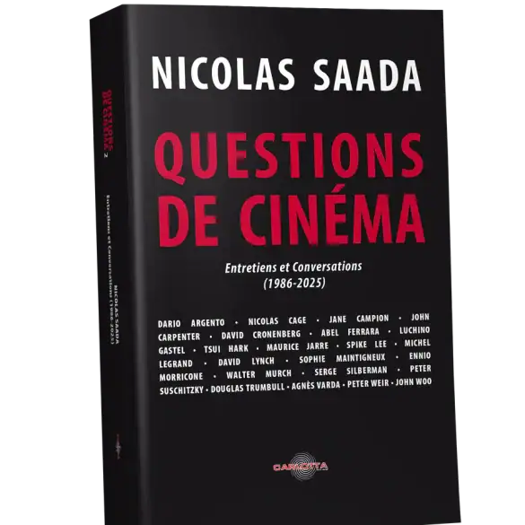 Questions de cinéma 2 Nicolas Saada
