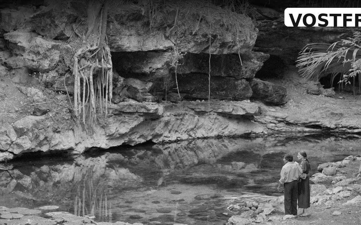 Bande-annonce de Cosmos : un drame mexicain au cœur du Yucatán 1 Bande-annonce de Cosmos : un drame mexicain au cœur du Yucatán