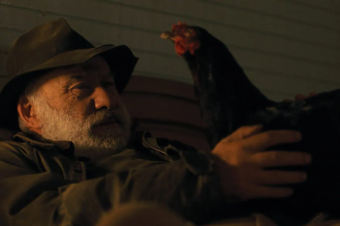 Bande-annonce Cocotte : une poule héroïne 1 Bande-annonce Cocotte : une poule héroïne