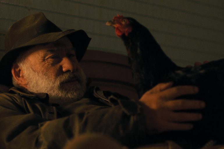 Bande-annonce Cocotte : une poule héroïne