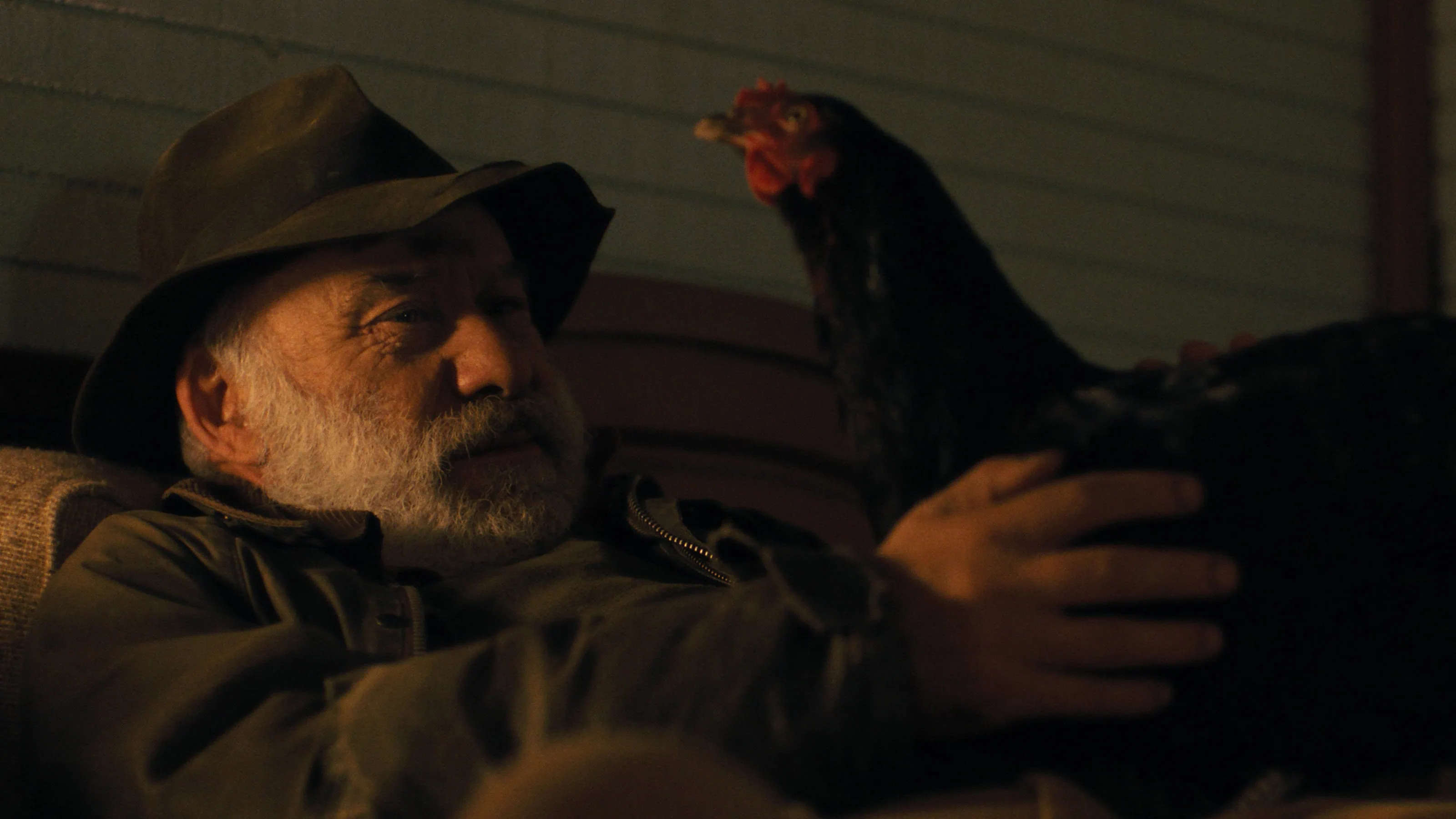 Bande-annonce Cocotte : une poule héroïne 3 Bande-annonce Cocotte : une poule héroïne