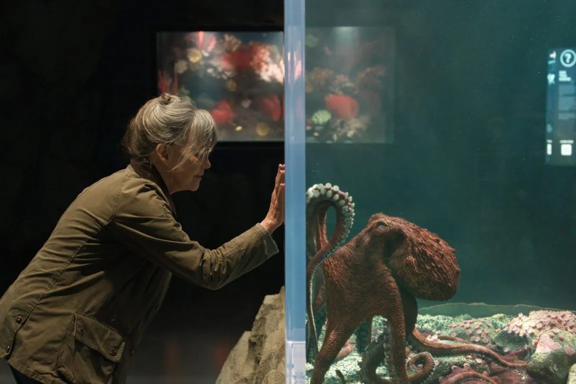 Bande-annonce de Remarkably Bright Creatures : une amitié improbable entre une femme et un poulpe sur Netflix 1 Bande-annonce de Remarkably Bright Creatures : une amitié improbable entre une femme et un poulpe sur Netflix