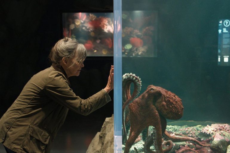 Bande-annonce de Remarkably Bright Creatures : une amitié improbable entre une femme et un poulpe sur Netflix 3 Bande-annonce de Remarkably Bright Creatures : une amitié improbable entre une femme et un poulpe sur Netflix