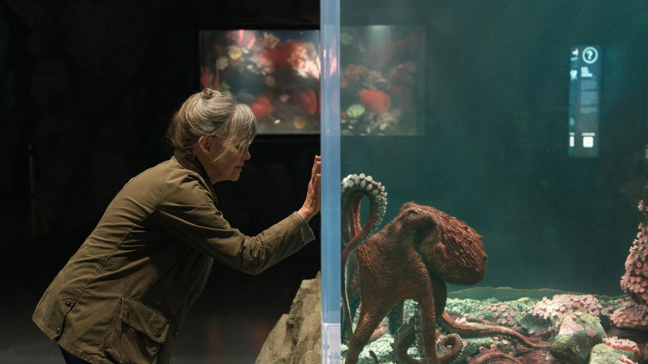 Bande-annonce de Remarkably Bright Creatures : une amitié improbable entre une femme et un poulpe sur Netflix 3 Bande-annonce de Remarkably Bright Creatures : une amitié improbable entre une femme et un poulpe sur Netflix