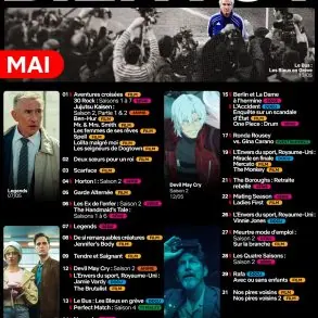 Sorties Netflix mai 2026 : films, séries et programme complet du mois 8 Sorties Netflix mai 2026 : films, séries et programme complet du mois
