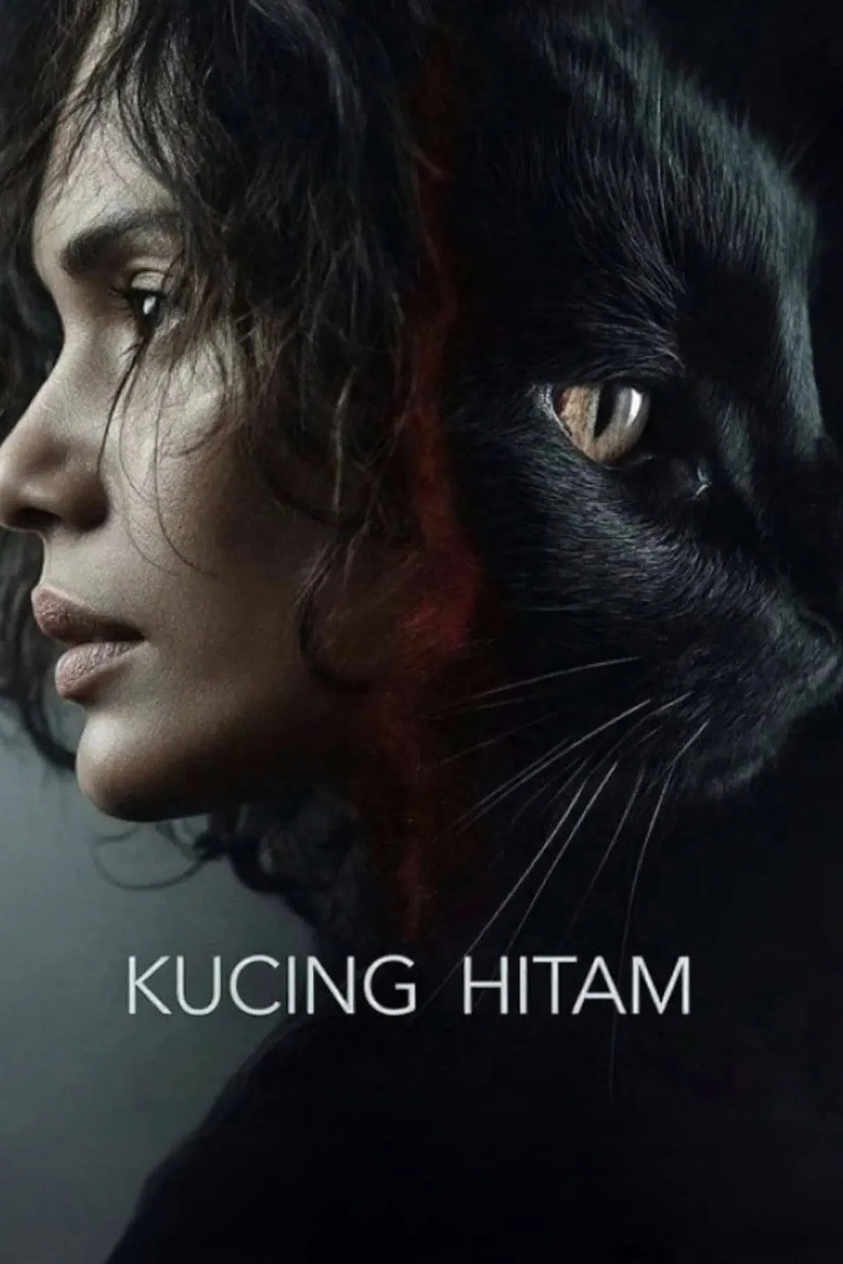 Bande annonce de Kucing Hitam : l'horreur venue d’Indonésie 3 Bande annonce de Kucing Hitam : l'horreur venue d’Indonésie
