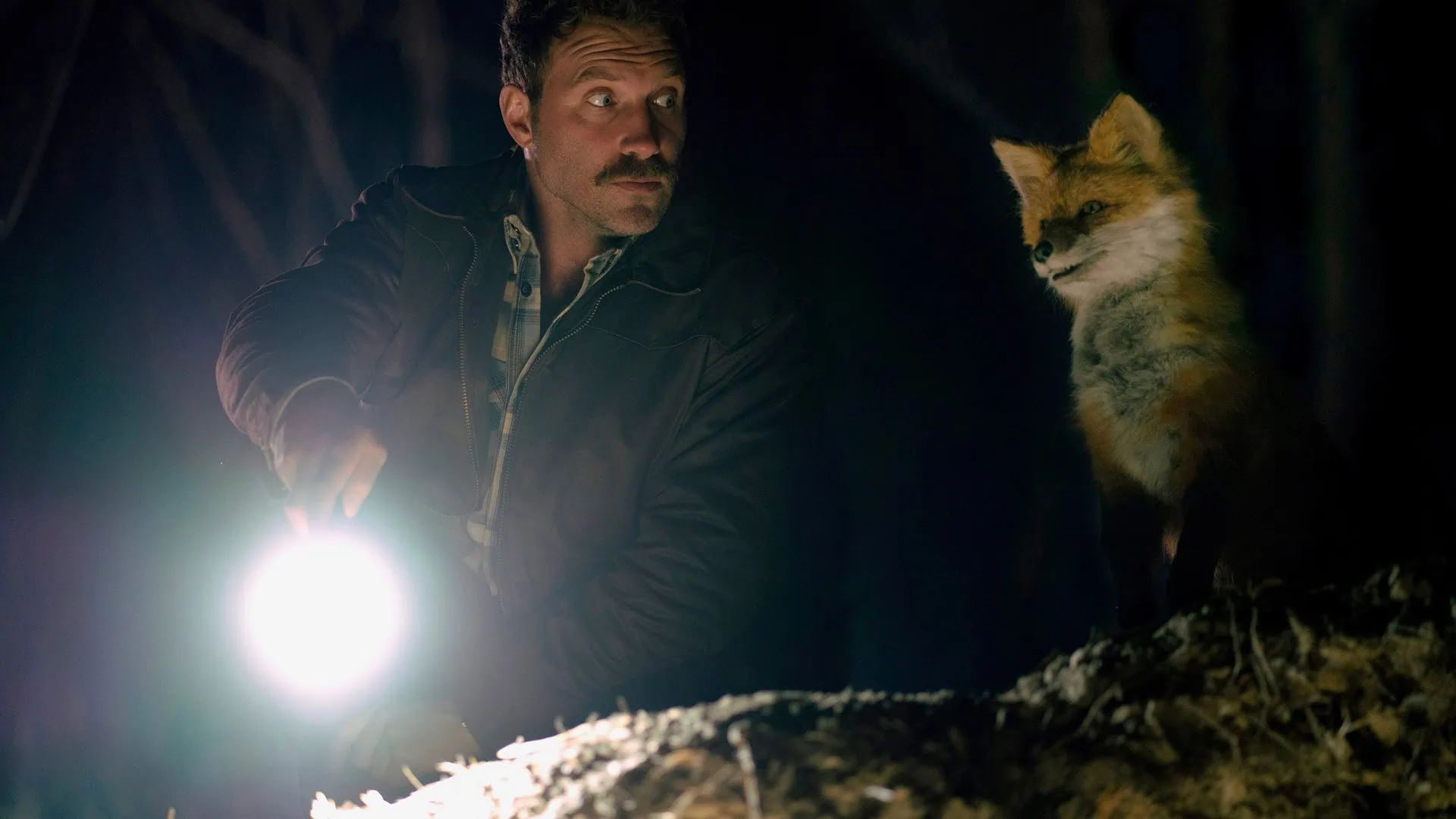 Bande annonce de The Fox : une comédie noire australienne 3 Bande annonce de The Fox : une comédie noire australienne