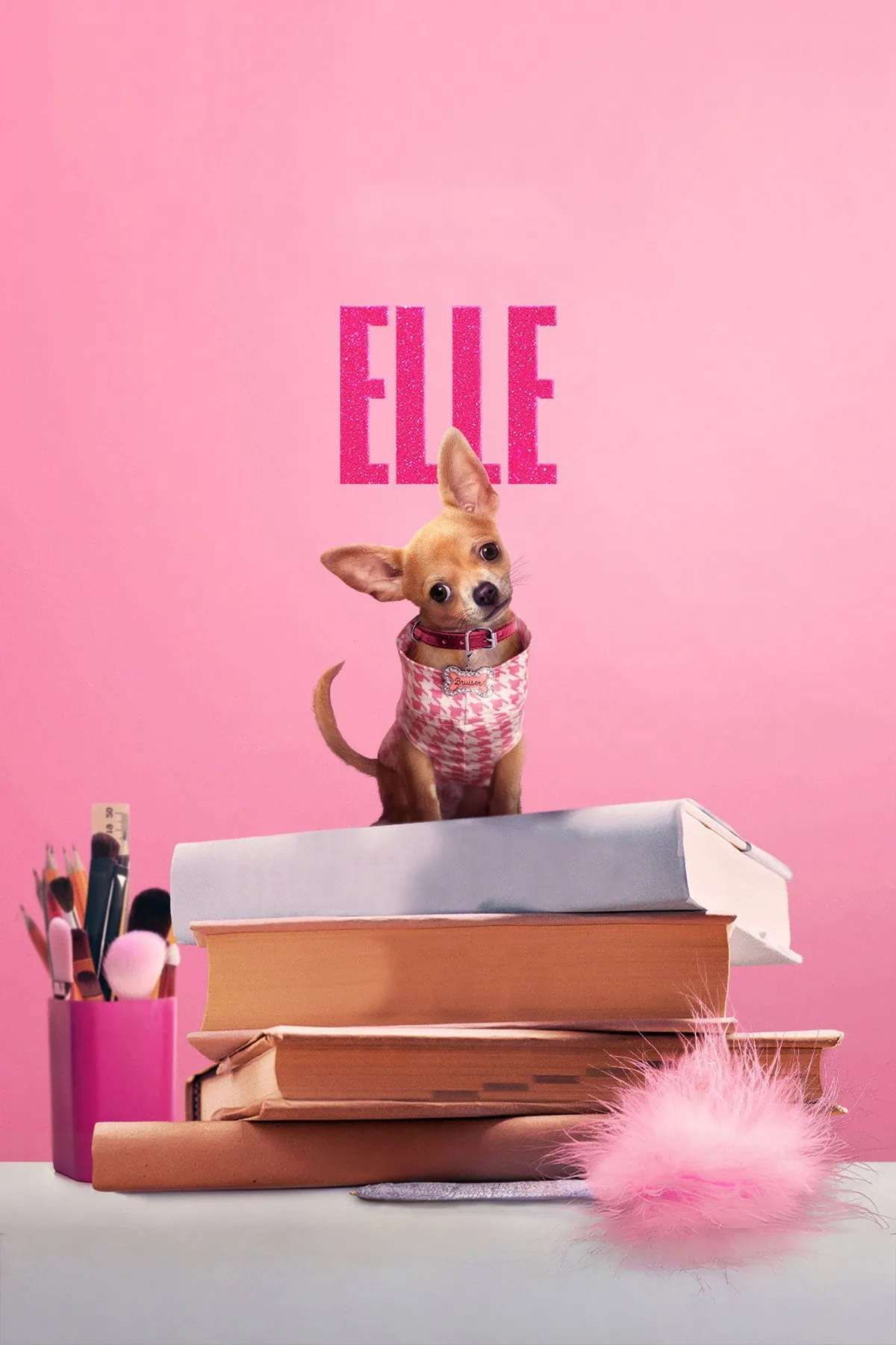 Bande annonce de Elle (2026) : les débuts d’Elle Woods sur Prime Video 3 Bande annonce de Elle (2026) : les débuts d’Elle Woods sur Prime Video