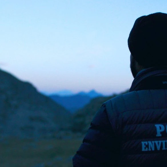 Bande annonce de Le Berger et les ours : un documentaire sur les tensions pastorales