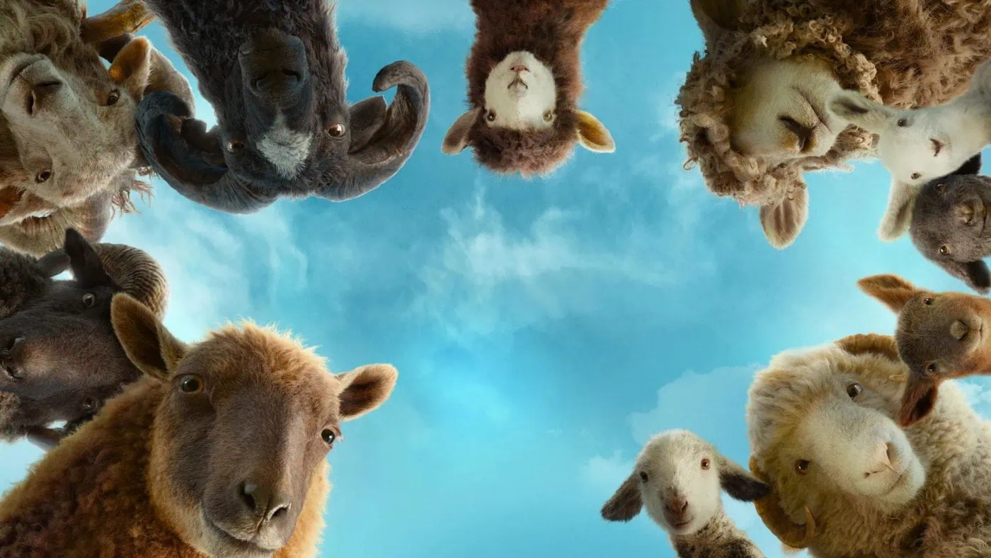 Les Moutons Détectives, la comédie policière Hugh Jackman 2 Miniature de la bande-annonce du film Les Moutons Du00e9tectives