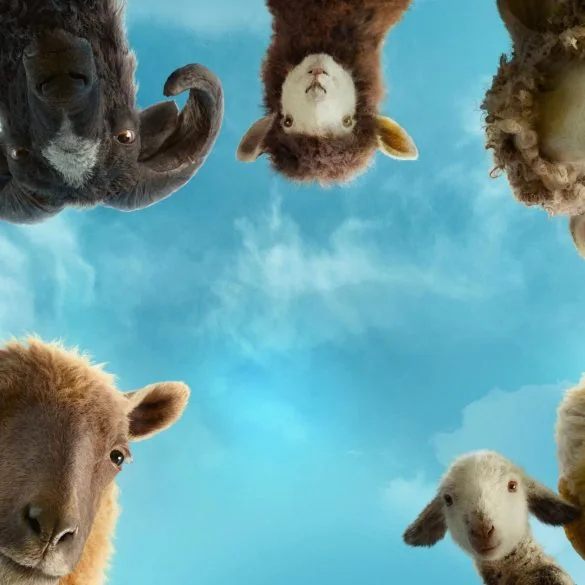Les Moutons Détectives, la comédie policière Hugh Jackman 1 Miniature de la bande-annonce du film Les Moutons Du00e9tectives