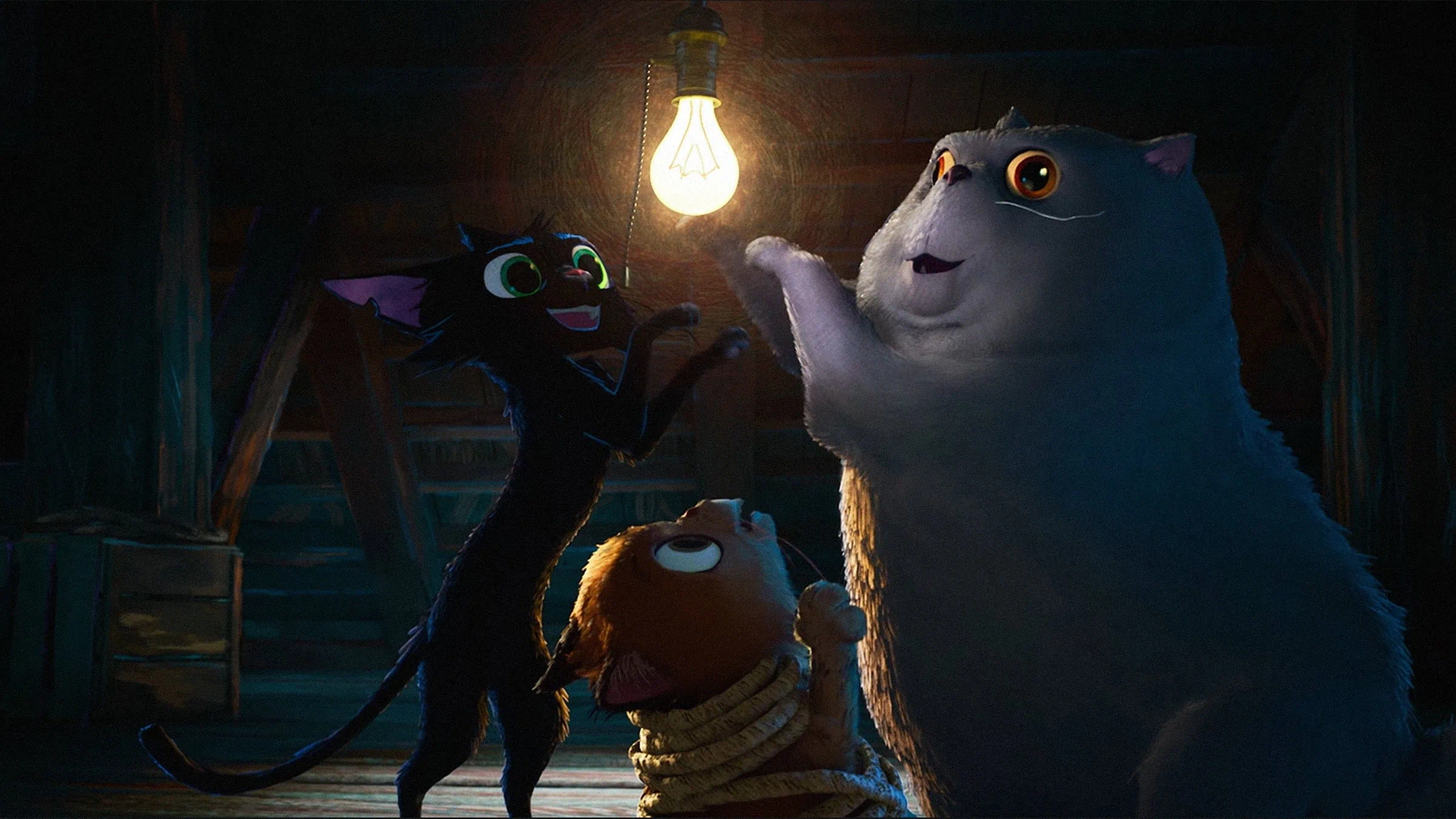 Bande annonce de Nero, chat noir : le Pixar vénitien d’Enrico Casarosa 4 Bande annonce de Nero, chat noir : le Pixar vénitien d’Enrico Casarosa