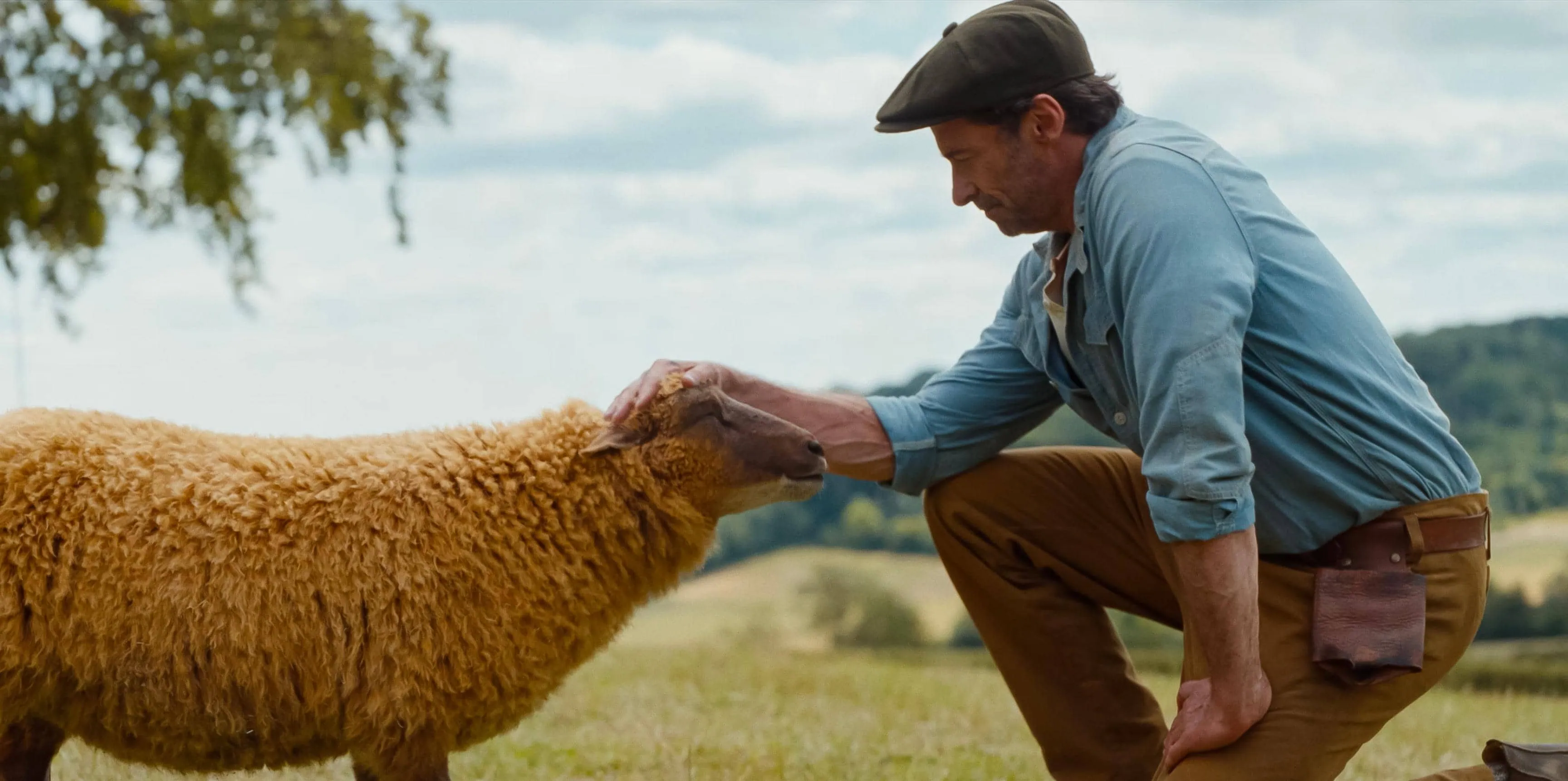 Critique de Les Moutons détectives 1 Scu00e8ne du film Les Moutons du00e9tectives