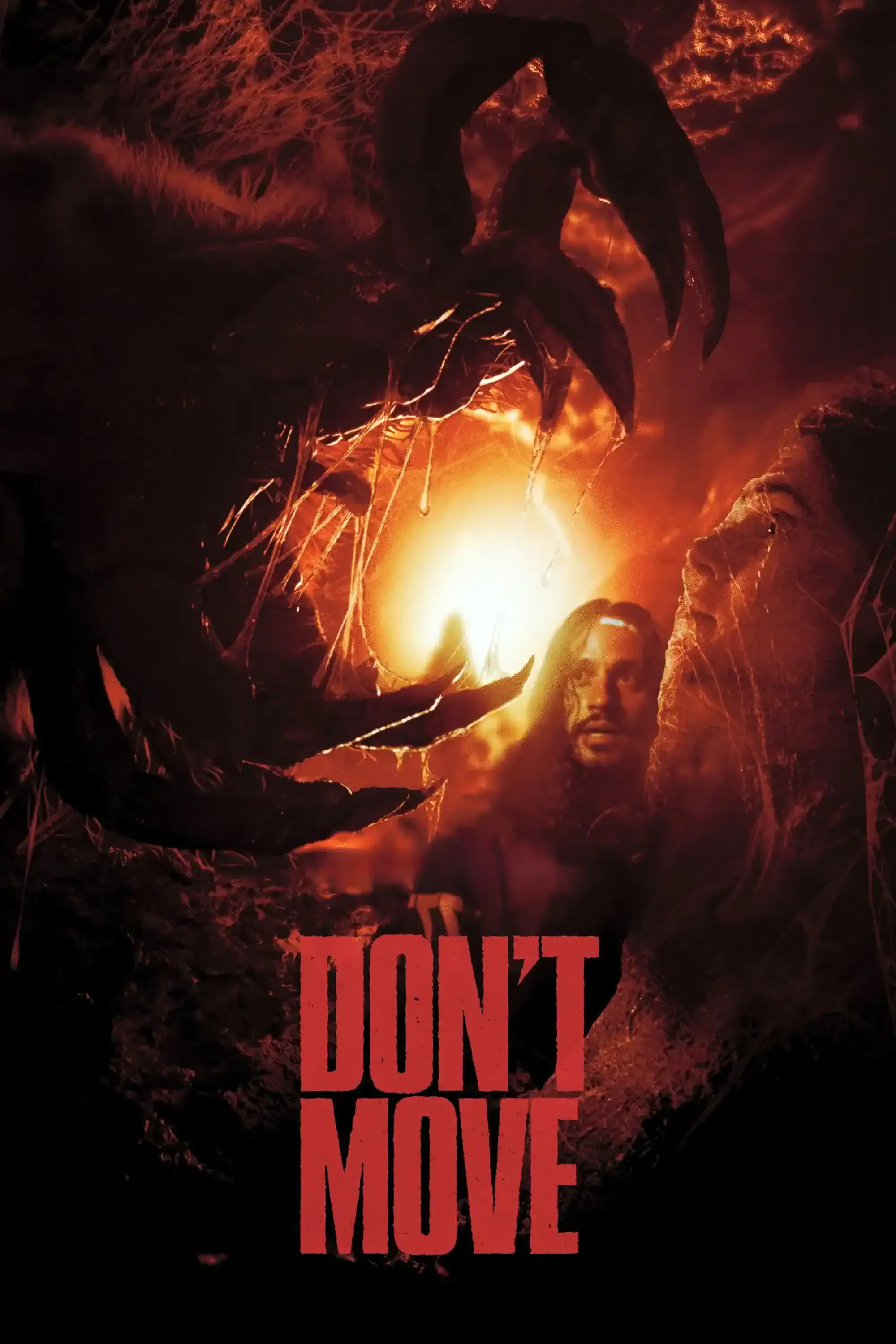 Bande annonce de Don't Move : un survival arachnide dans les Ozarks 3 Scu00e8ne du film Don't Move
