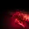 Miniature de la bande-annonce du film u30c0u30fcu30a6u30a3u30f3u30bau30b2u30fcu30e0