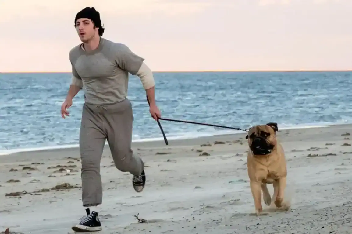 Bande annonce de I Play Rocky : le pari fou de Sylvester Stallone 1 Miniature de la bande-annonce du film I Play Rocky