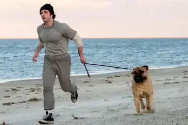 Bande annonce de I Play Rocky : le pari fou de Sylvester Stallone 6 Miniature de la bande-annonce du film I Play Rocky