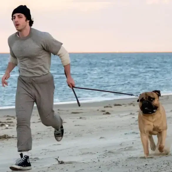 Bande annonce de I Play Rocky : le pari fou de Sylvester Stallone 1 Miniature de la bande-annonce du film I Play Rocky