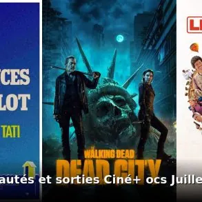 Nouveautés et sorties Ciné+ OCS juillet 2026 : tous les films et séries du mois 8 Nouveautes et sorties Ciné+ OCS juillet 2026