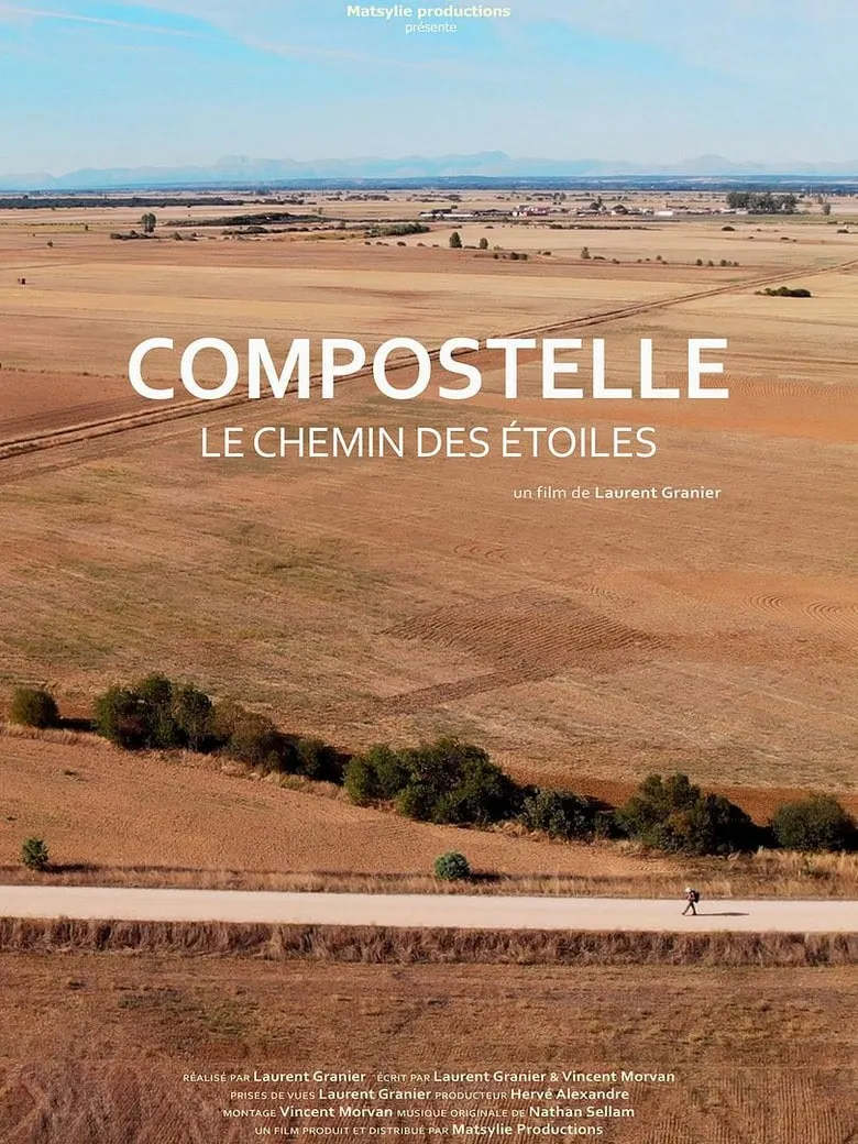 VOD en France : Super Mario Galaxy et 23 nouveautés pour la semaine du 10 août 20 Affiche du film Compostelle, le Chemin des Étoiles – nouveauté VOD