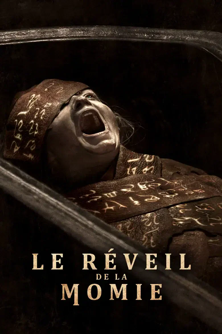 VOD en France : 10 nouveaux films disponibles dès la semaine du 14 août 2026 4 Affiche du film Le Réveil de la Momie – sortie VOD de la semaine