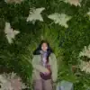 Miniature de la bande-annonce du film Four Seasons in Java