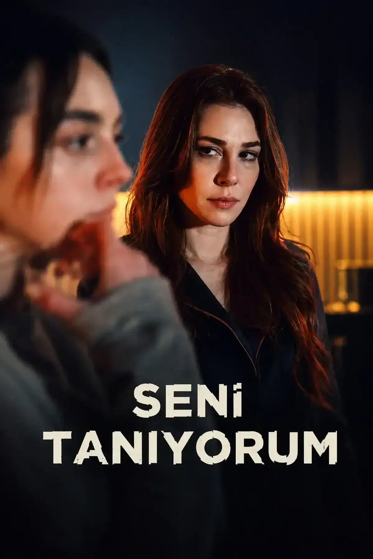 Scu00e8ne du film Seni Tanu0131yorum