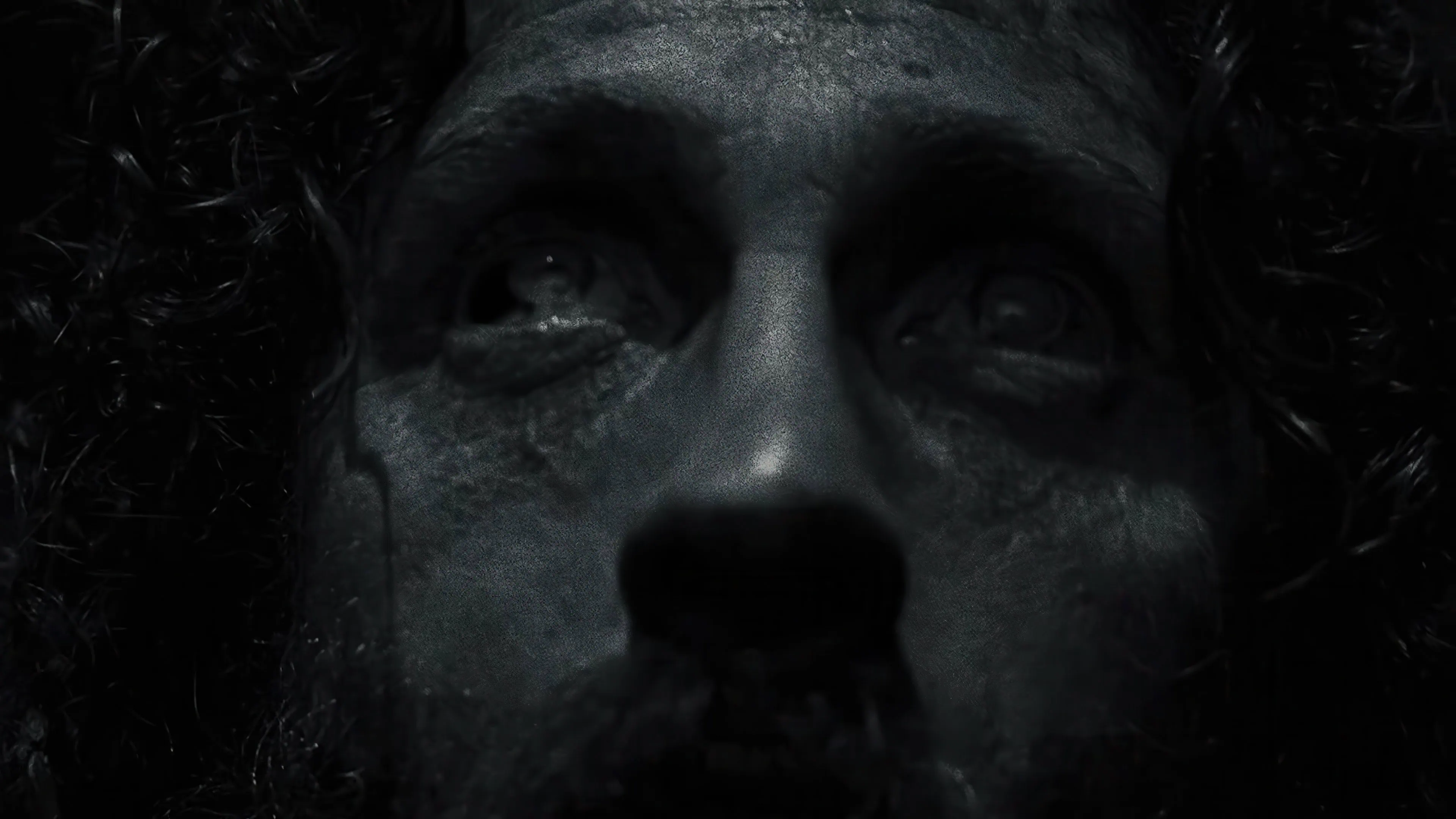 Bande annonce de Werwulf (2026) : Robert Eggers dévoile son drame d'horreur médiéval 5 Scu00e8ne du film Werwulf