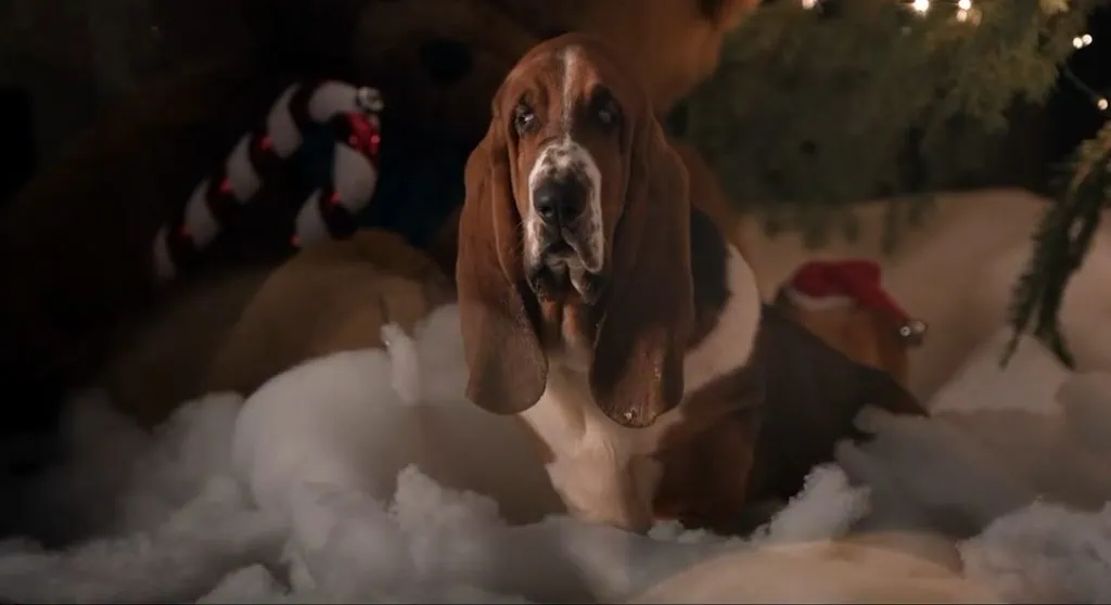Bande annonce de A Dog's Perfect Christmas (2026) : Dennis Quaid et Milo Ventimiglia réunis chez Cathryn Michon 3 Bande annonce de A Dog's Perfect Christmas (2026) : Dennis Quaid et Milo Ventimiglia réunis chez Cathryn Michon