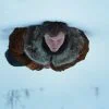 Bande-annonce de A Long Winter : le drame d’Andrew Haigh