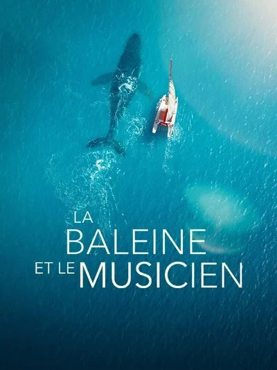 VOD en France : 17 nouveautés pour la semaine du 23 octobre 2026 15 Affiche du film La Baleine et le Musicien – nouveauté VOD