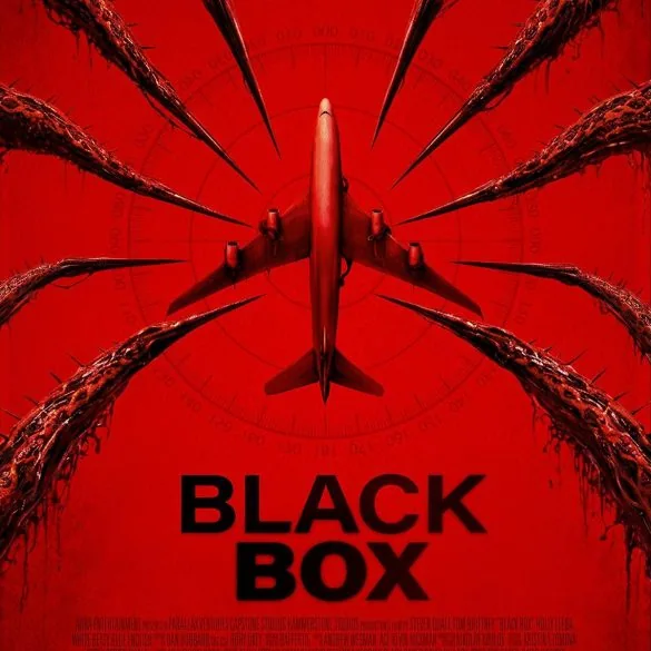 Critique de Black Box
