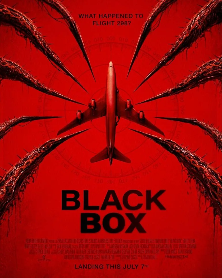 Affiche officielle du film Black Box